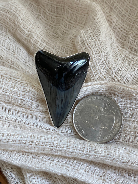 Shark Tooth Ring - Sterling Silver